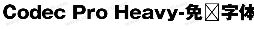 Codec Pro Heavy字体转换